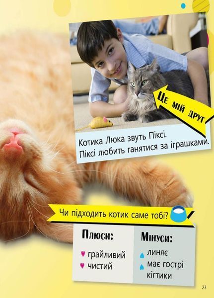 Книга Перше читання Non Fiction : Домашні улюбленці і не тільки&hellip; Рівень 5. С850005У 9786170940346 288590 фото