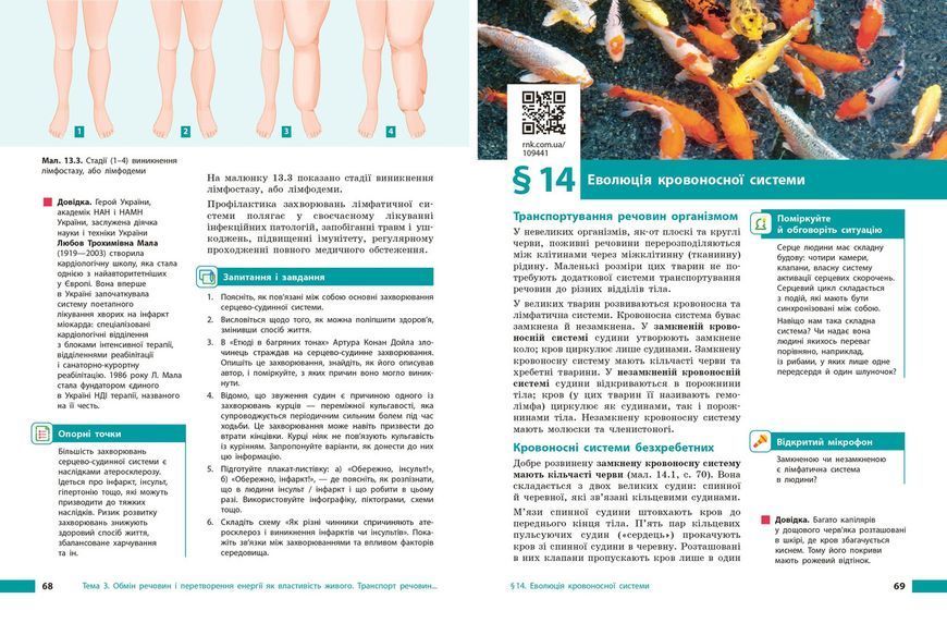 Книга Біологія підручник для 8 класу закладів загальної середньої освіти _ КОМ Ранок Автор - Тагліна О. В.; Самойлов А. М.; 9786170995896 фото