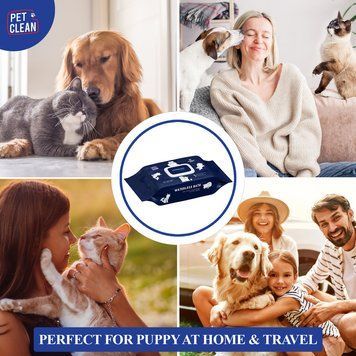 Серветки вологі Pet Clean PET GROOMING POUCH зволожуючі для грумінгу домашніх тварин з легким ароматом квітучої японської 8939111100328 8939111100328 фото