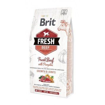 Корм сухий Brit Fresh Beef/Pumpkin Puppy Large для цуценят та молодих собак великих порід з яловичиною та гарбузом 2,5 кг 8595602530762 170992 /0762 фото