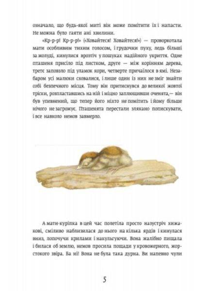 Класика в ілюстраціях : Червона Шийка S688004У 9786170929068 Автор Ернест Сетон-Томпсон 267264 фото