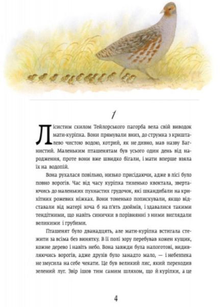 Класика в ілюстраціях : Червона Шийка S688004У 9786170929068 Автор Ернест Сетон-Томпсон 267264 фото