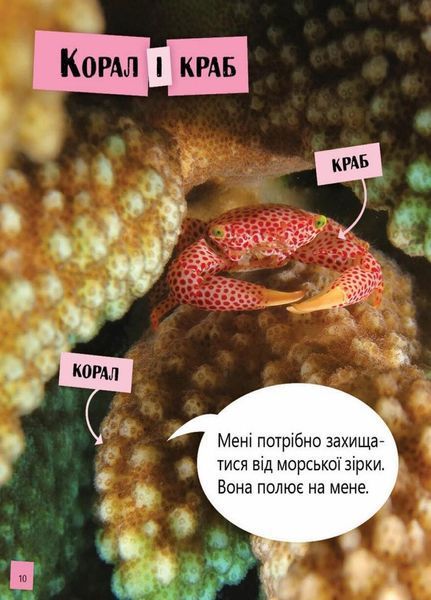 Книга Перше читання Non Fiction : Космос, повітря, вода і не тільки... Рівень 2. С850002У 9786170940315 288587 фото