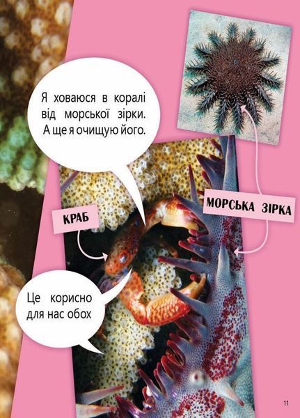 Книга Перше читання Non Fiction : Космос, повітря, вода і не тільки... Рівень 2. С850002У 9786170940315 288587 фото