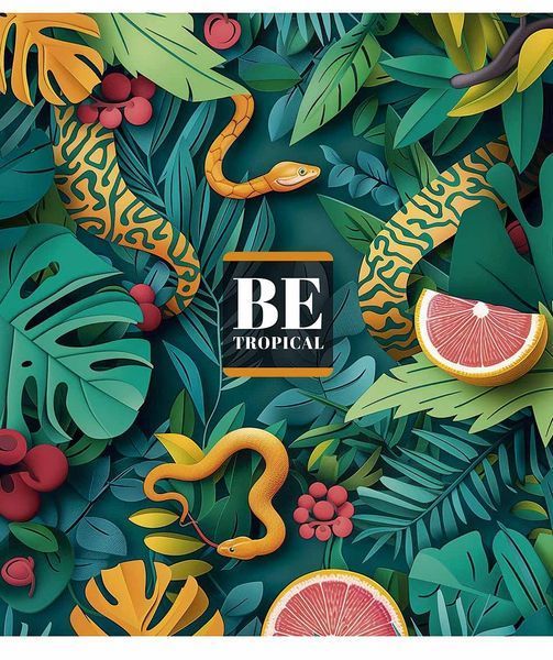 Набір 5 шт, зошит загальний, Be Tropical. Зошит Star у клітинку 48 арк. 3497 4820006476441 4820006476441_048-3497K фото