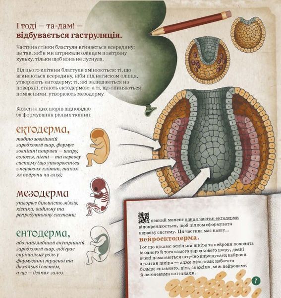 Книга "Дітям про науку. Як працює людський мозок" Тверда Обкладинка Автор Пабло Барречеґурен 496057 фото