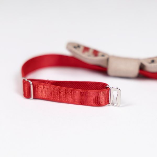 Аксесуар шийний Pet Fashion Ruta для собак XS-XS2 4823082446353 PR244635 фото