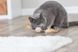 Іграшка Trixie для котів м'яч на паличці з пір'ям джут 20 см 4011905424316 42431 фото 4