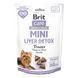Ласощі Brit Care Mini Treats Liver Detox для собак малих порід детокс печінки індичка смак чорниця 50 г 8595602578573 8595602578573 фото 1