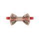 Аксесуар шийний Pet Fashion Ruta для собак XS-XS2 4823082446353 PR244635 фото 1