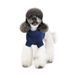 Светр Sam Pet Fashion для собак розмір M синій 4823082442270 4823082442270 фото 3