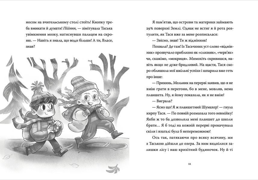 Книга Різдвяний Бука. Автор - Тетяна Стрижевська (ВСЛ) 9789664482155 фото