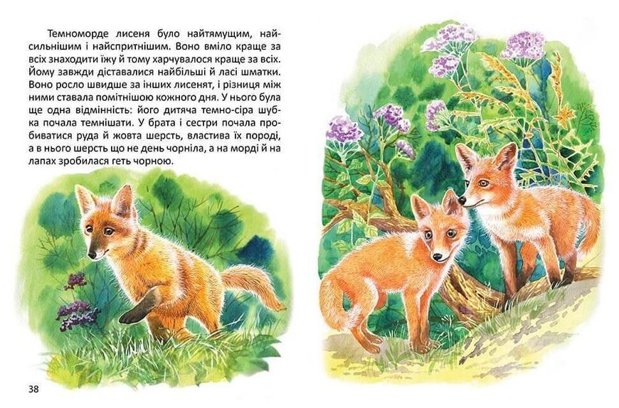 Книга "Малятам про звірят" Талант Тверда Обкладинка 9789669352453 фото