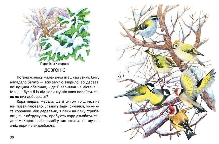 Книга "Малятам про звірят" Талант Тверда Обкладинка 9789669352453 фото