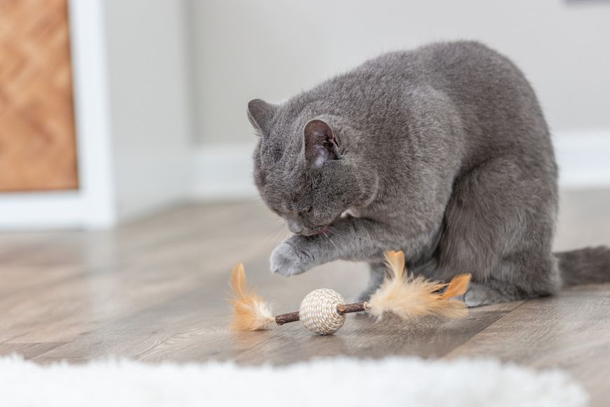 Іграшка Trixie для котів м'яч на паличці з пір'ям джут 20 см 4011905424316 42431 фото