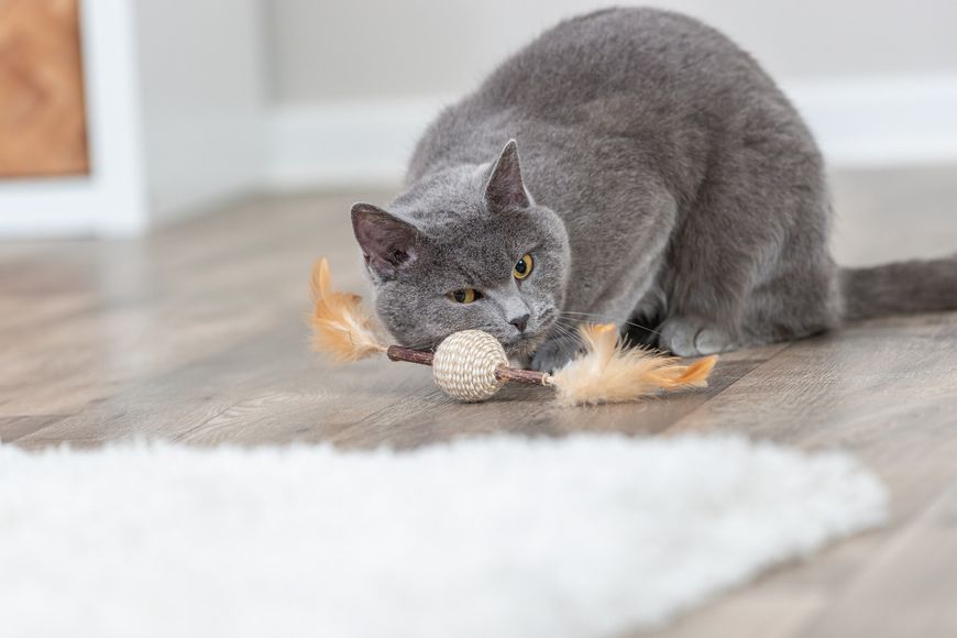 Іграшка Trixie для котів м'яч на паличці з пір'ям джут 20 см 4011905424316 42431 фото