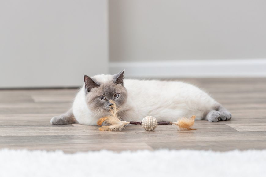 Іграшка Trixie для котів м'яч на паличці з пір'ям джут 20 см 4011905424316 42431 фото