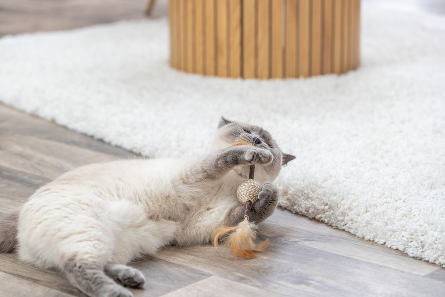 Іграшка Trixie для котів м'яч на паличці з пір'ям джут 20 см 4011905424316 42431 фото