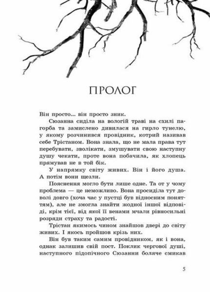 Провідник : Порушники. Книга 2. Автор Клер Мак-Фолл. Тверда обкладинка Ч1451002У 9786170972675 9786170972675 фото