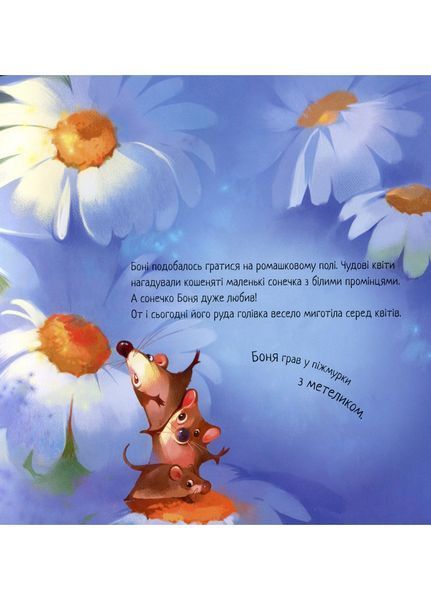 Зворушливі книжки : Кошеня і Сонечко А871004У 9786170958808 Автор Сольська Єва 9786170958808 фото
