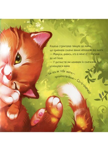Зворушливі книжки : Кошеня і Сонечко А871004У 9786170958808 Автор Сольська Єва 9786170958808 фото