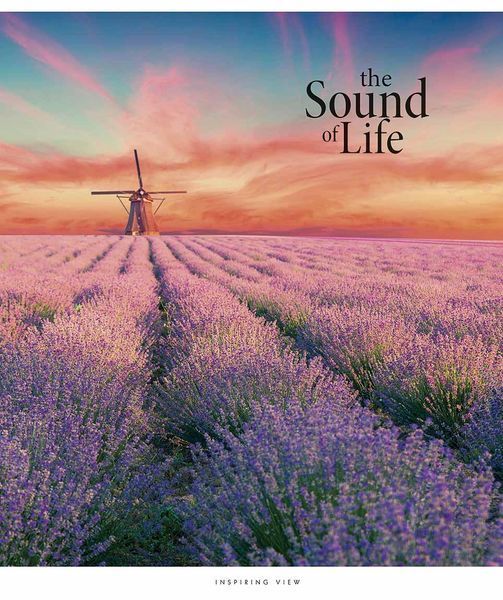 Набір 5 шт, зошит загальний, the Soung of Life (УФ-лак). Зошит Star у лінію 96 арк. 3347 4820006476496 4820006476496_10 фото