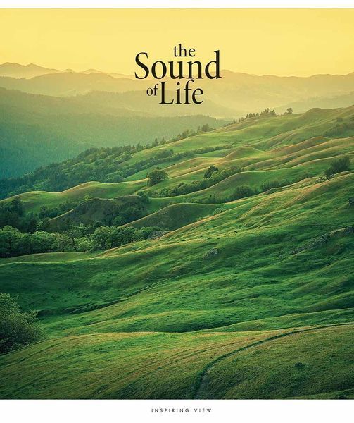 Набір 5 шт, зошит загальний, the Soung of Life (УФ-лак). Зошит Star у лінію 96 арк. 3347 4820006476496 4820006476496_10 фото