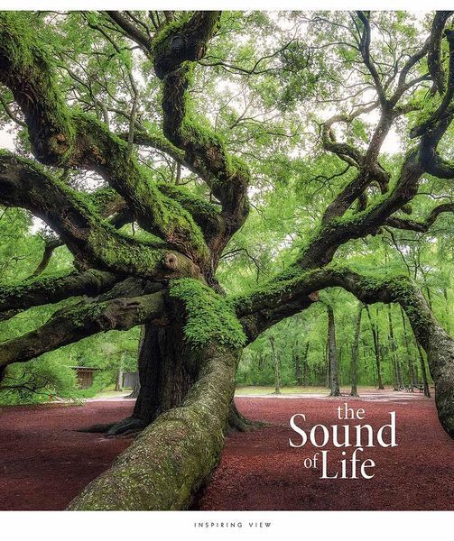 Набір 5 шт, зошит загальний, the Soung of Life (УФ-лак). Зошит Star у лінію 96 арк. 3347 4820006476496 4820006476496_10 фото