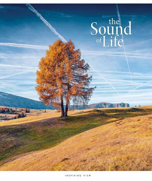 Набір 5 шт, зошит загальний, the Soung of Life (УФ-лак). Зошит Star у лінію 96 арк. 3347 4820006476496 4820006476496_10 фото