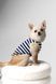 Майка Pet Fashion Tropic для собак L 4823082445691 PR244569 фото 2