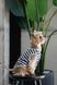 Майка Pet Fashion Tropic для собак L 4823082445691 PR244569 фото 3