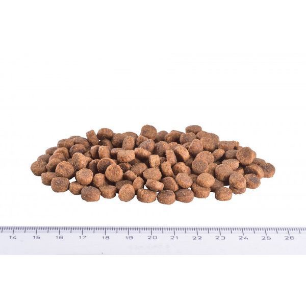 Корм сухий Brit Grain Free VetDiet Cat Diabetes для котів з цукровим діабетом беззерновий з куркою та горохом 400 г 170970/528530 фото