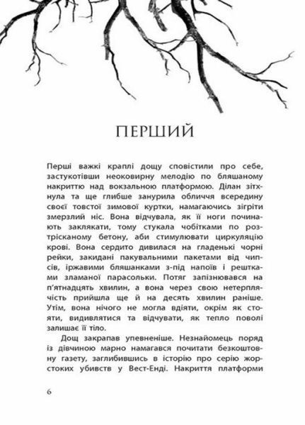 Провідник : Провідник. Книга 1. Автор Клер Мак-Фолл. Тверда обкладинка Ч1451001У 9786170972668 468749 фото