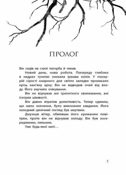 Провідник : Провідник. Книга 1. Автор Клер Мак-Фолл. Тверда обкладинка Ч1451001У 9786170972668 468749 фото