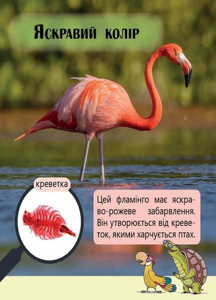 Книга Перше читання Non Fiction : Фантастичні рослини і не тільки&hellip; Рівень 3 С850003У 9786170940322 288588 фото