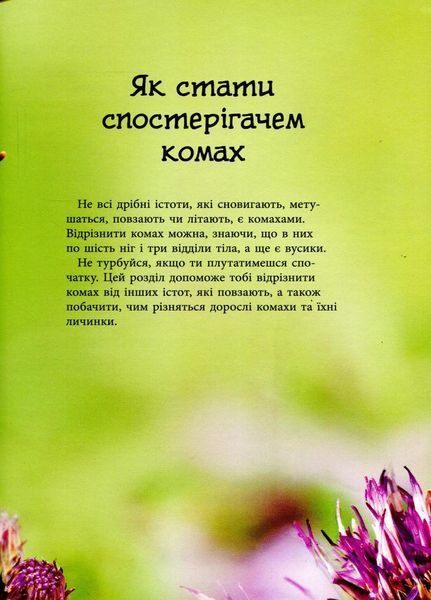Книга Стежками природи : Комахи й інші маленькі істоти. Автор Рейчел Фьорт. С791001У 9786170956392 9786170956392 фото