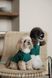 Сорочка Pet Fashion Seaman для собак S 4823082446278 PR244627 фото 5