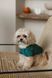 Сорочка Pet Fashion Seaman для собак S 4823082446278 PR244627 фото 3