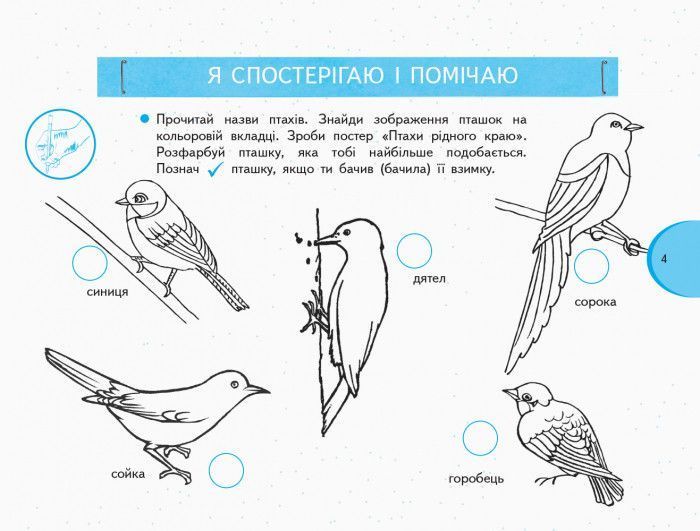 Книга Я дослiджую свiт. 1 клас. Робочий зошит. До підручника Тагліна О.В.; Іванова Г.Ж. У 2-х частинах. Ч. 2 Ранок Автор - Тагліна 9786170949806 фото