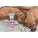 Іграшка Trixie Junior для собак Ведмідь з кільцем та звуком поліестер/пластик 23 см 4011905361772 4011905361772 фото 3