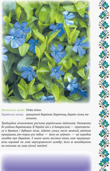 Зірка Мензатюк. Український квітник 9786170943910 фото