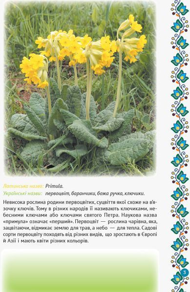 Зірка Мензатюк. Український квітник 9786170943910 фото
