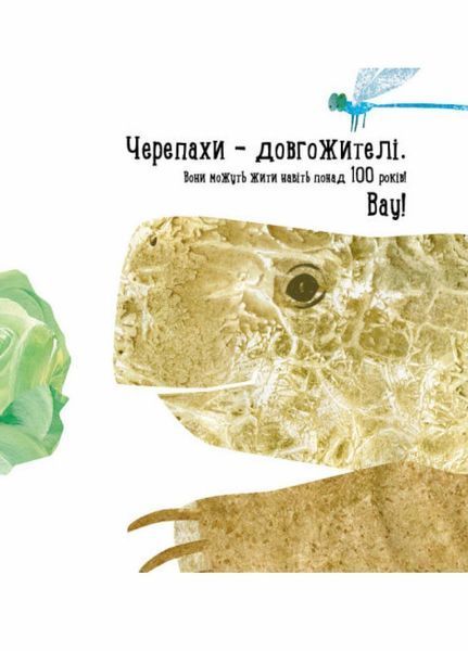 Книга Професор Карапуз : Куди поділася черепаха? Автор Чуб Наталія. S914004У 9786170942937 9786170942937 фото