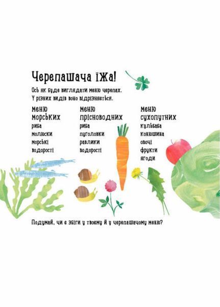 Книга Професор Карапуз : Куди поділася черепаха? Автор Чуб Наталія. S914004У 9786170942937 9786170942937 фото