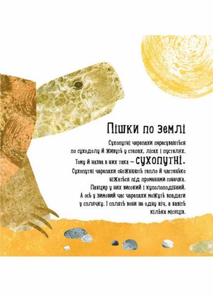 Книга Професор Карапуз : Куди поділася черепаха? Автор Чуб Наталія. S914004У 9786170942937 9786170942937 фото