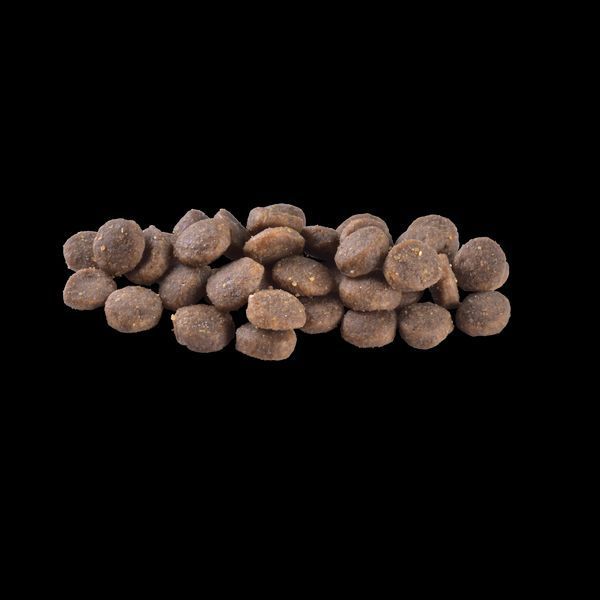 Корм сухий Brit Care Dog Grain-free Puppy для цуценят беззерновий з лососем 12 кг 8595602558803 8595602558803 фото