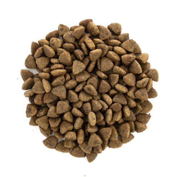 Корм сухий Brit Care Cat Grain Free Haircare Healthy and Shiny Coat для котів догляд за шкірою і шерстю лосось та курка 7 кг 171305/0877 фото