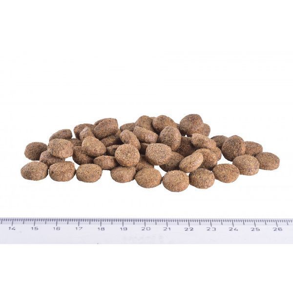 Корм сухий Brit Grain Free VetDiet Dog Obesity для собак для корекції ваги беззерновий з ягням індичкою та горохом 2 кг 8595602528073 170941/8073 фото