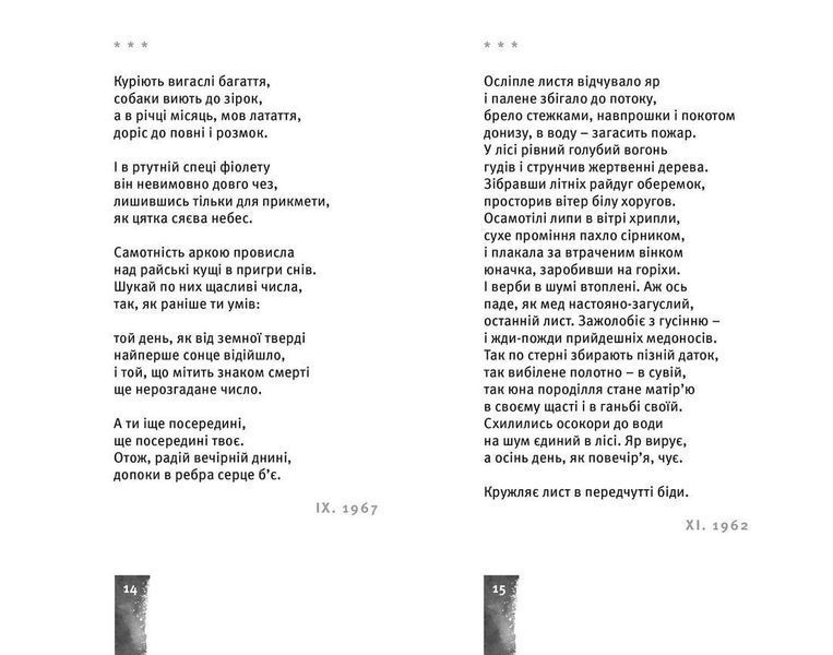 Книга Небо. Кручі. Провалля. Вода. Автор - Дмитро Стус, Василь Стус (Укр.) 9786176791805 фото
