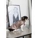 Жилет Pet Fashion Hardy для собак утеплений водонепроникний з отвором для повідця бежевий розмір XL 4823082437450 4823082437450 фото 6